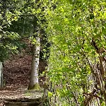 La Butte, Chaleureux Au Coeur De *