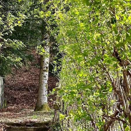 La Butte, Chaleureux Au Coeur De *