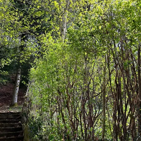 Lägenhet La Butte, Chaleureux Au Coeur De *