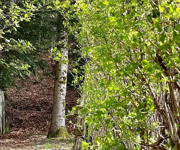 La Butte, Chaleureux Au Coeur De *